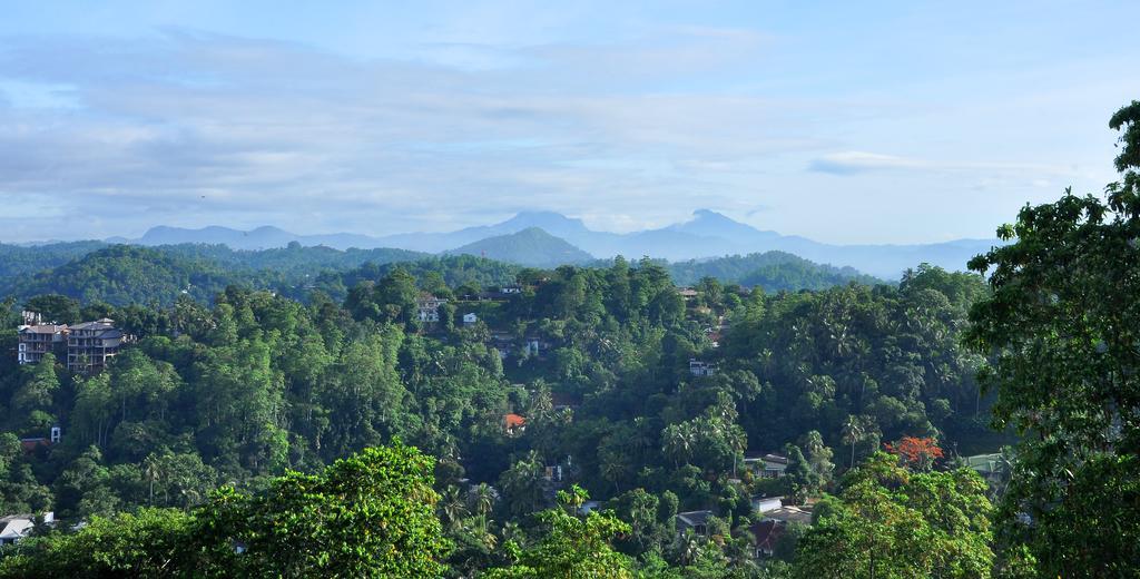 Primrose Inn Kandy Pokój zdjęcie
